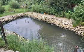 Чорногора